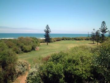 golfalgedida